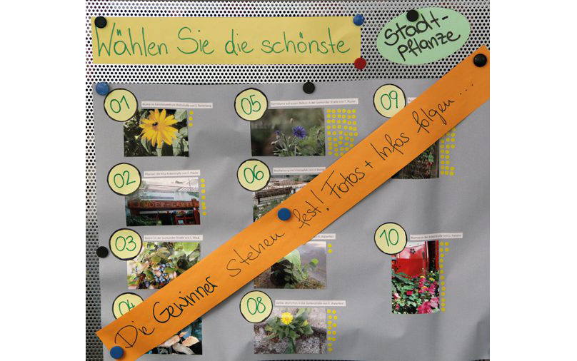 Neue Motive für Kühlschrankmagnete