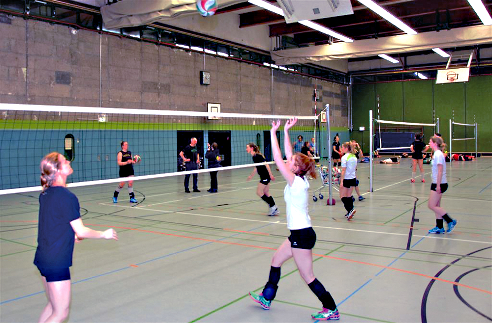 TSV Wedding 1862: Viva Volleyball