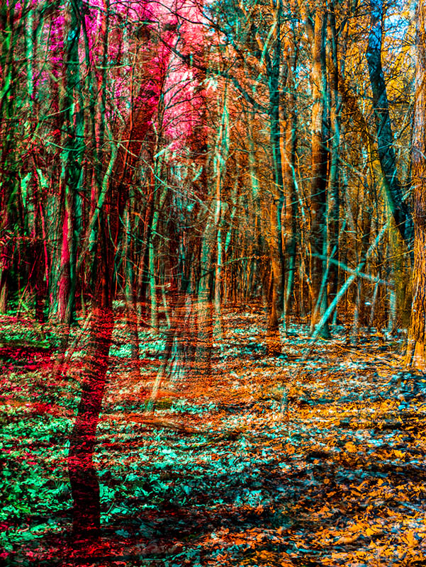 Miriquidi: Ausstellung eröffnet