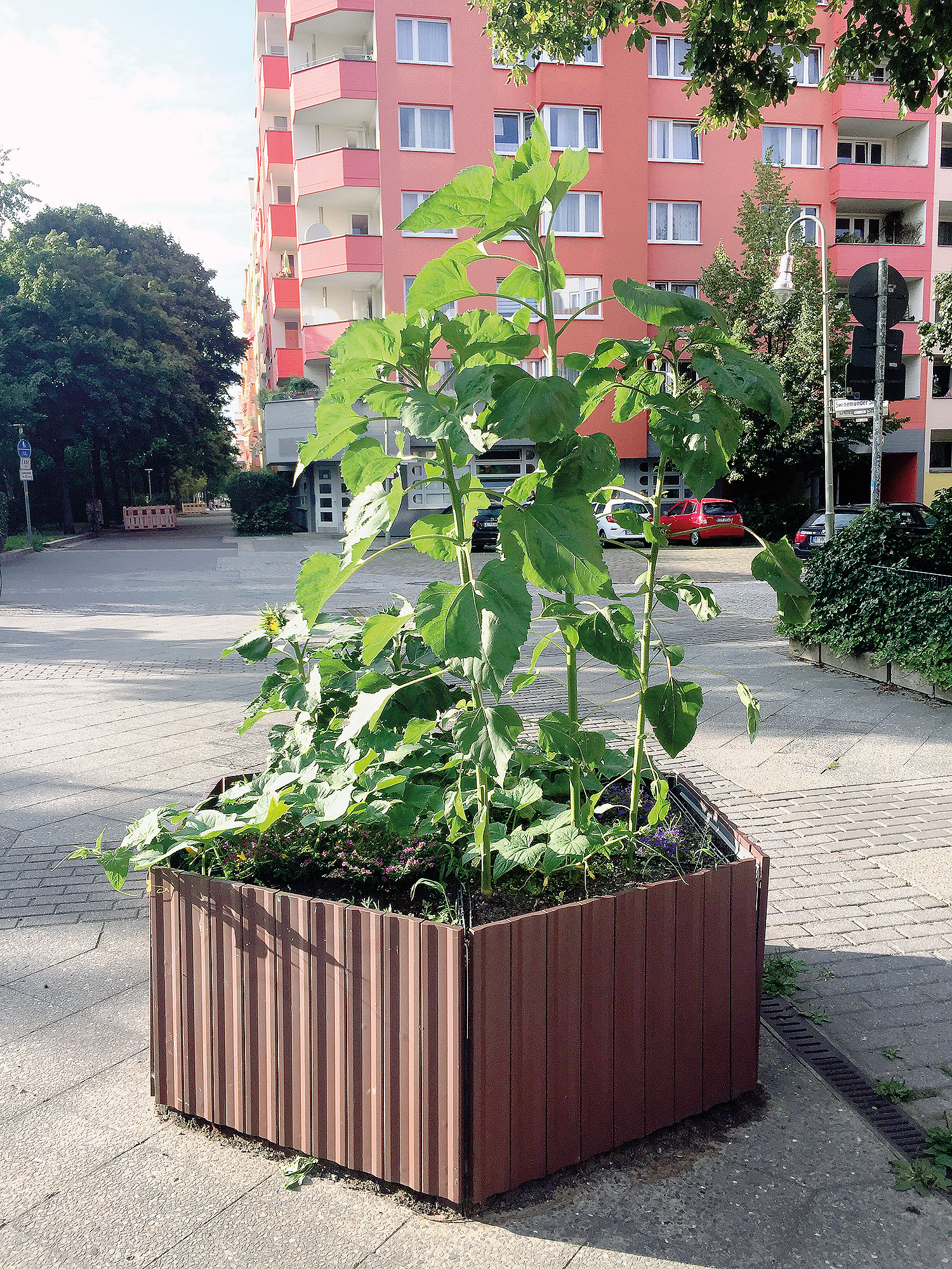 Eine saubere Pflanzschale am Vinetaplatz. Doch immer wieder werden die Kästen beschmiert. Deshalb wollen Kinder sie nun ganz bunt gestalten. Foto: Cecilia Stickler