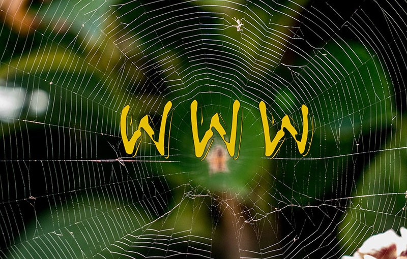 Eine Webseite erstellen: Tipps fürs Konzept