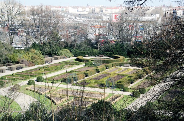 Rosengarten im Volkspark Humboldthain, Foto: Dominique Hensel