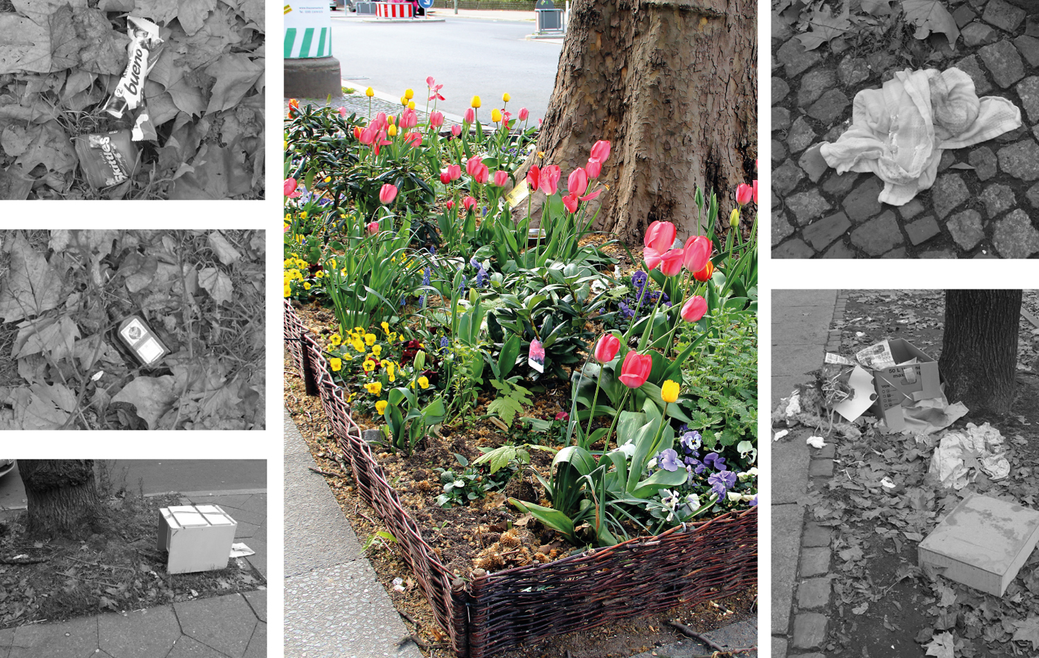 Blumen statt Müll: Eine Kampfansage in Grün