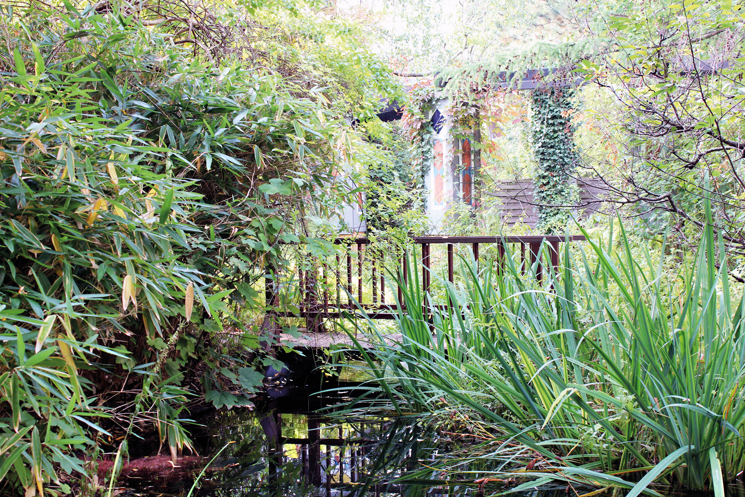 Verborgenes Paradies hinter Hotelmauern