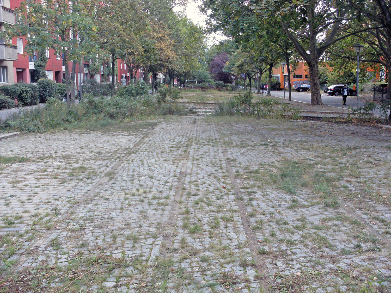 Grünstreifen an der Swinemünder Straße 56: Die beiden parallel verlaufenden Schienenstränge der Straßenbahn sind hier deutlich zu erkennen. Foto: Alexander Dowe