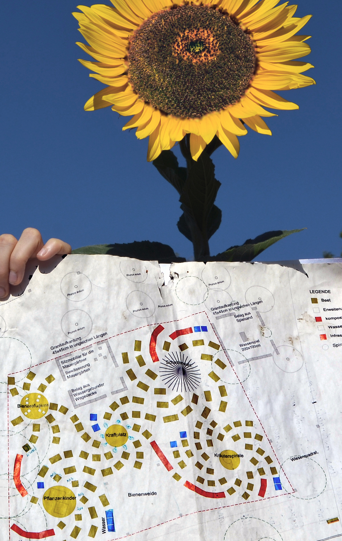 Plan für den Mauergarten. Foto: Michael Becker