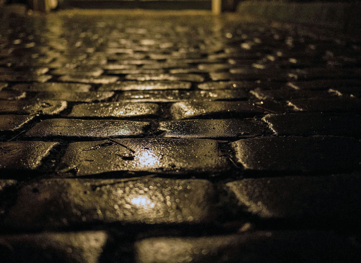 Von Übeltätern, Gaunern und Halunken am Gartenplatz