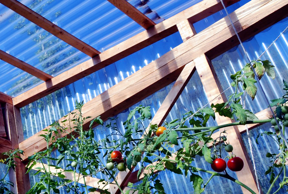 Zwei Stadtgärten: Zusammen wachsen lassen