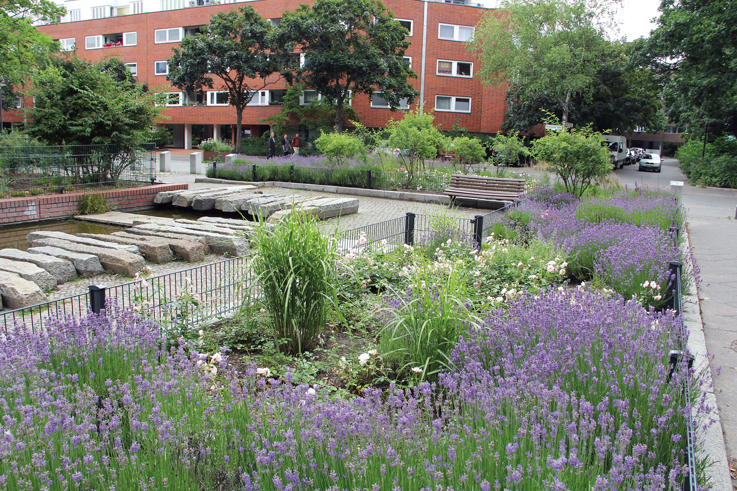 Das Lavendelbeet am Vinetaplatz. Foto: Dominique Hensel