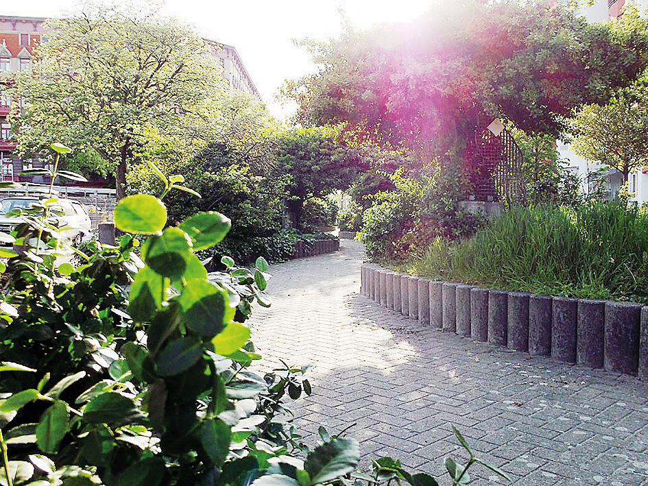 Eine Idylle ist die grüne Verkehrsinsel auf der Gleimstraße. Foto: Dunja Berndt
