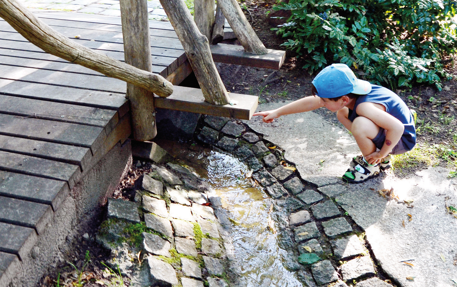 Abenteuertour durch Park und Hain