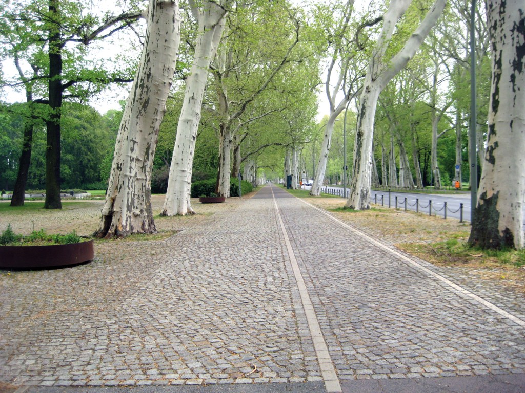 Weg im Treptower Park