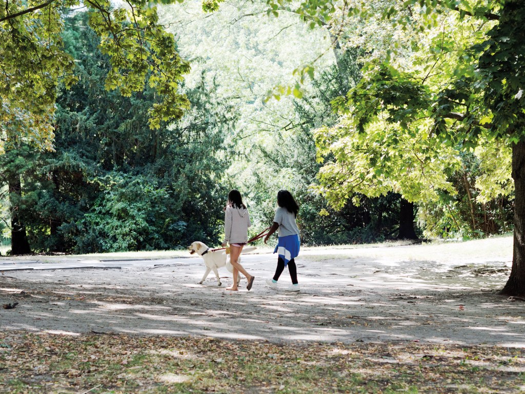 Spaziergängerinnen mit Hund im Humboldthain