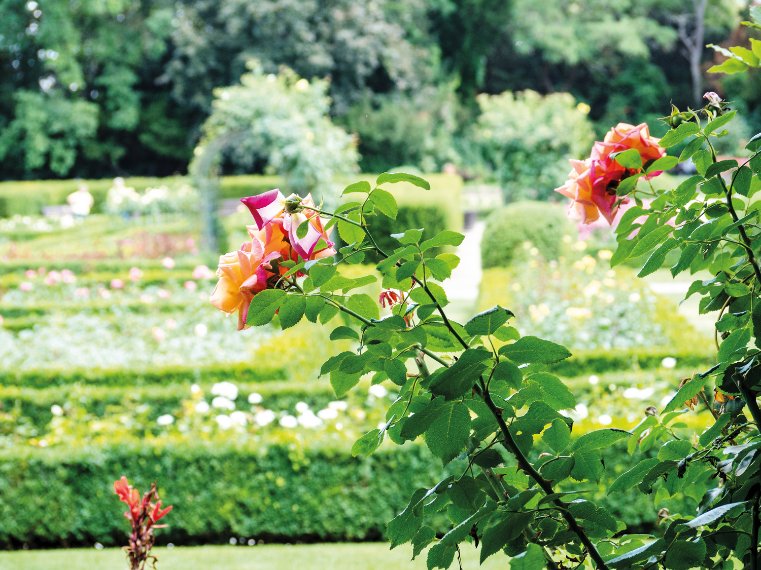 Was ist los im Humboldthain?