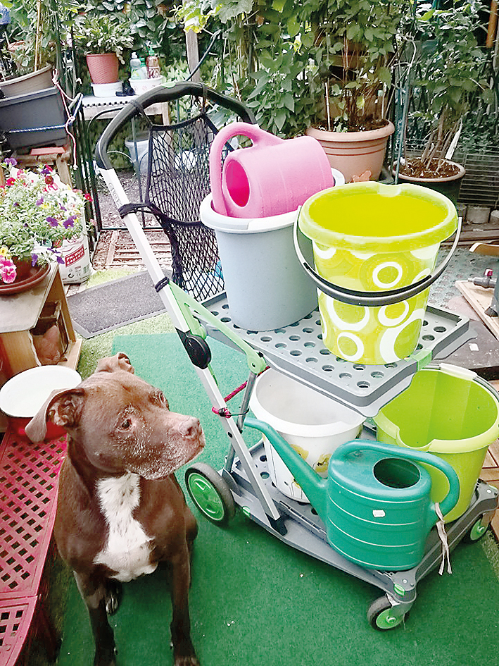 Unterstützung für die Gleim-Oase