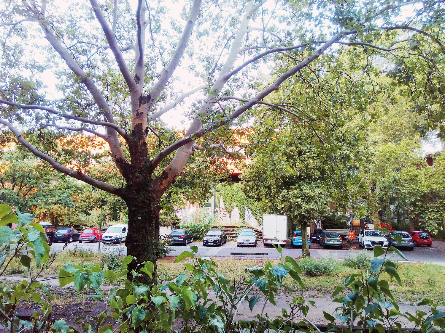 Parken ist nicht erlaubt. Doch viele halten sich nicht daran. Foto: Beatrix Bahnisch