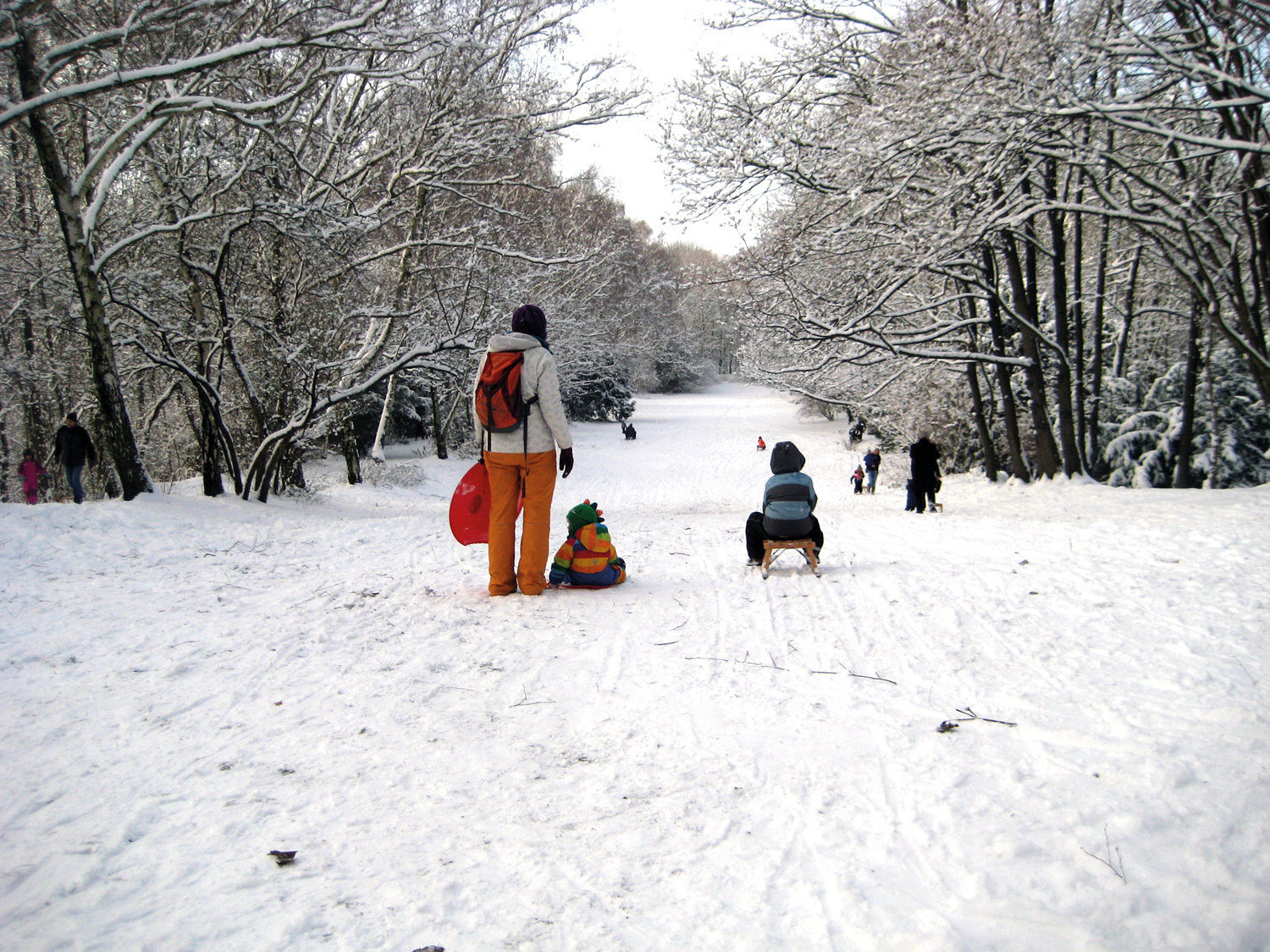 Rodeln im Humboldthain: Auf den Schlitten, fertig, los!