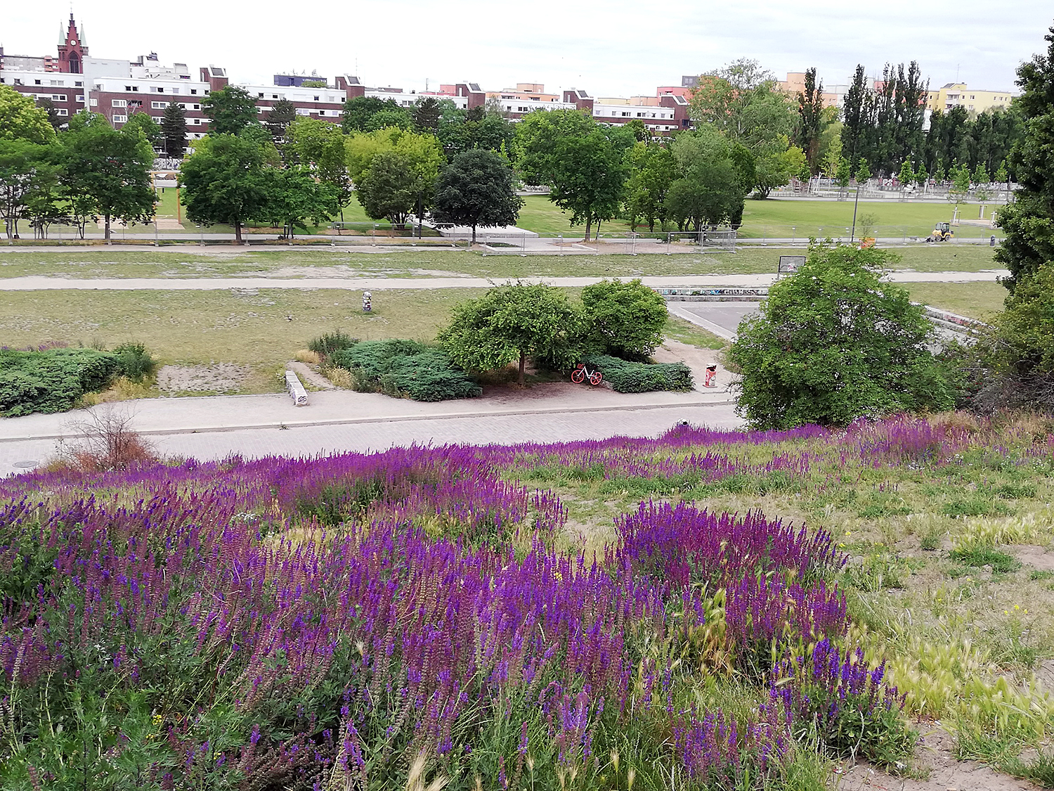 Erweiterungsfläche eröffnet: Ganz viel Mauerpark