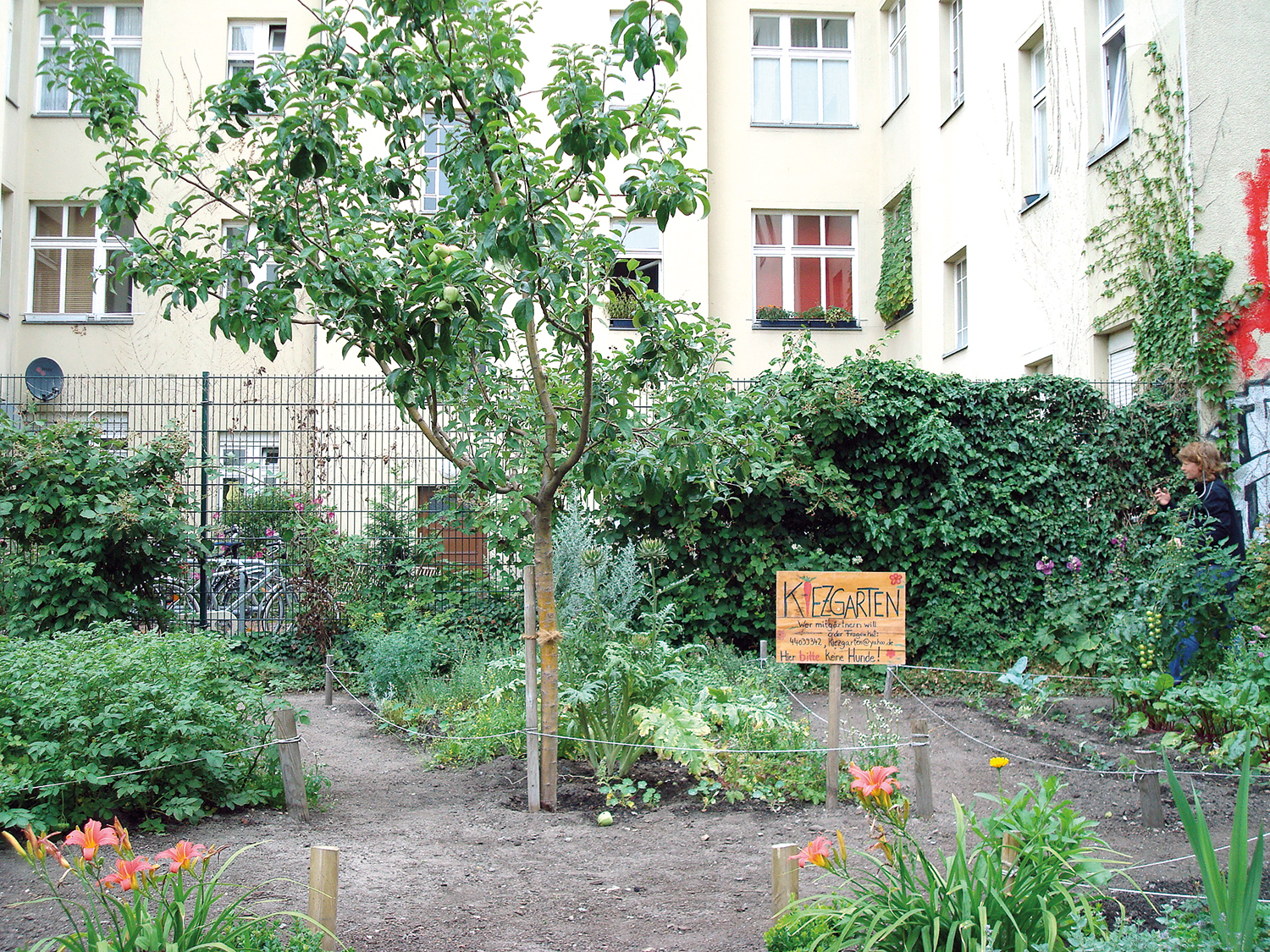 Im Kiezgarten-Gemeinschaftsgarten. Foto: Kerstin Stelmacher