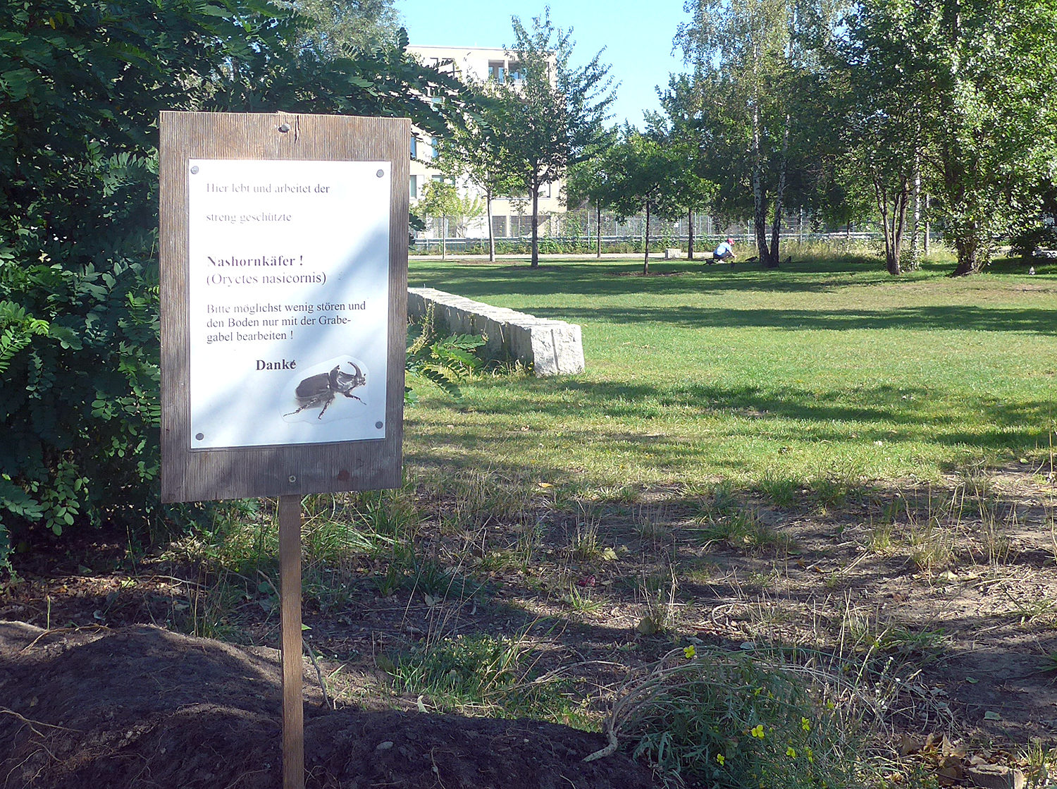Mauerpark Nashornkäfer Schild