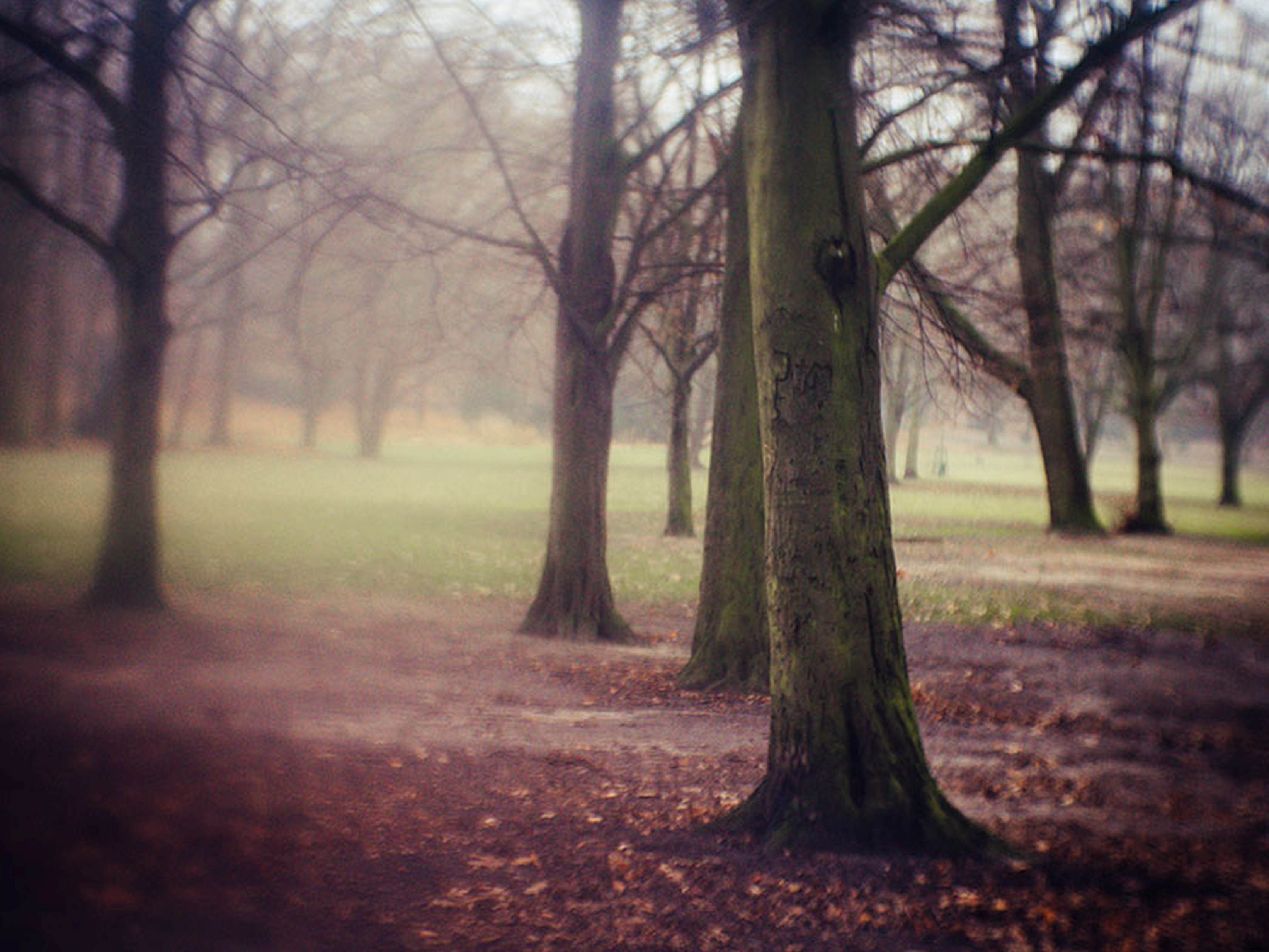 Geschichte(n) hören an der Feuerschale