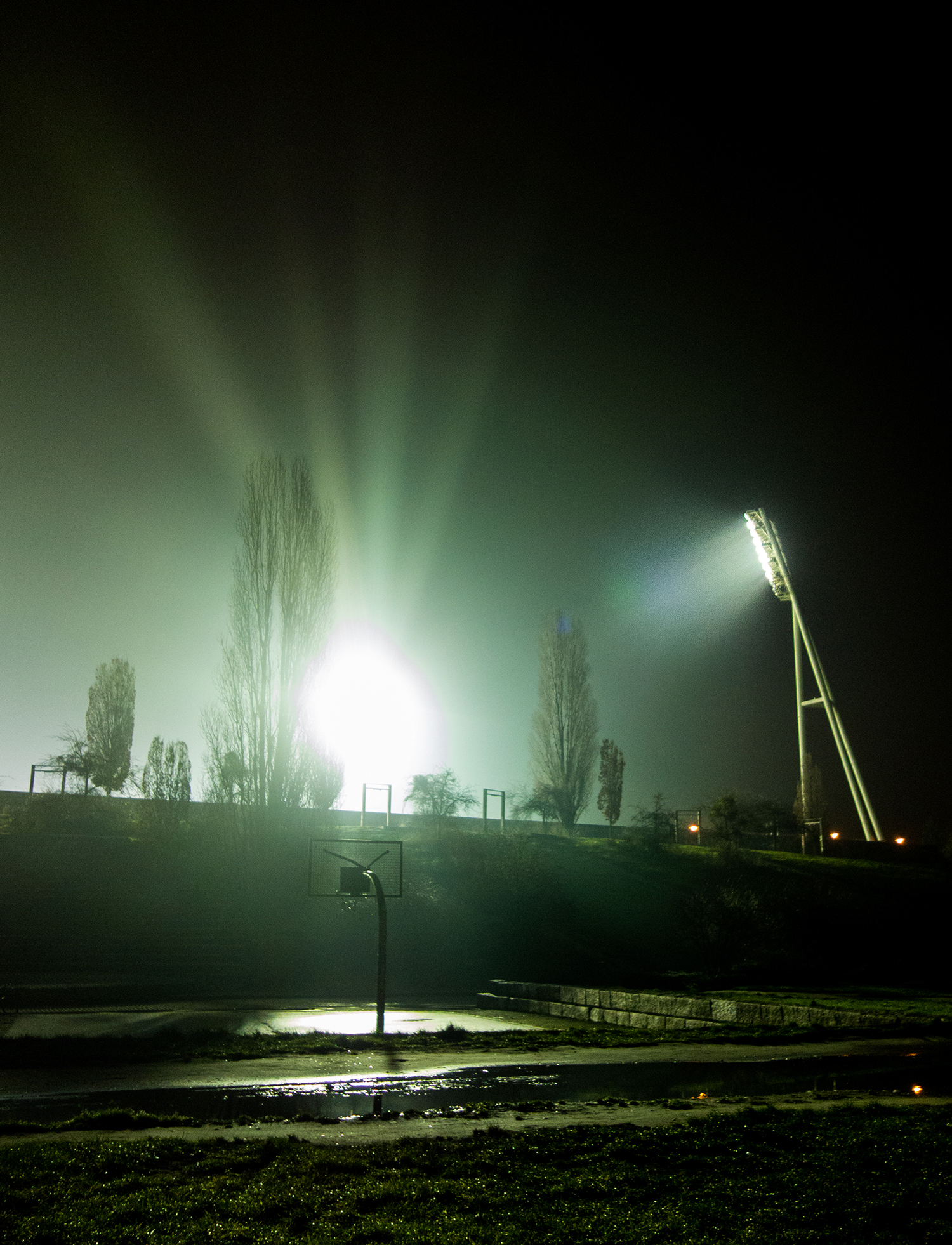 Momentaufnahmen aus dem Mauerpark
