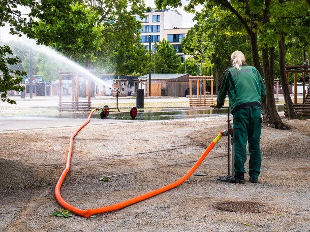 Vorteil des neuen Mauerpark-Teils: er wird regelmäßig gewässert (Juli 2020).