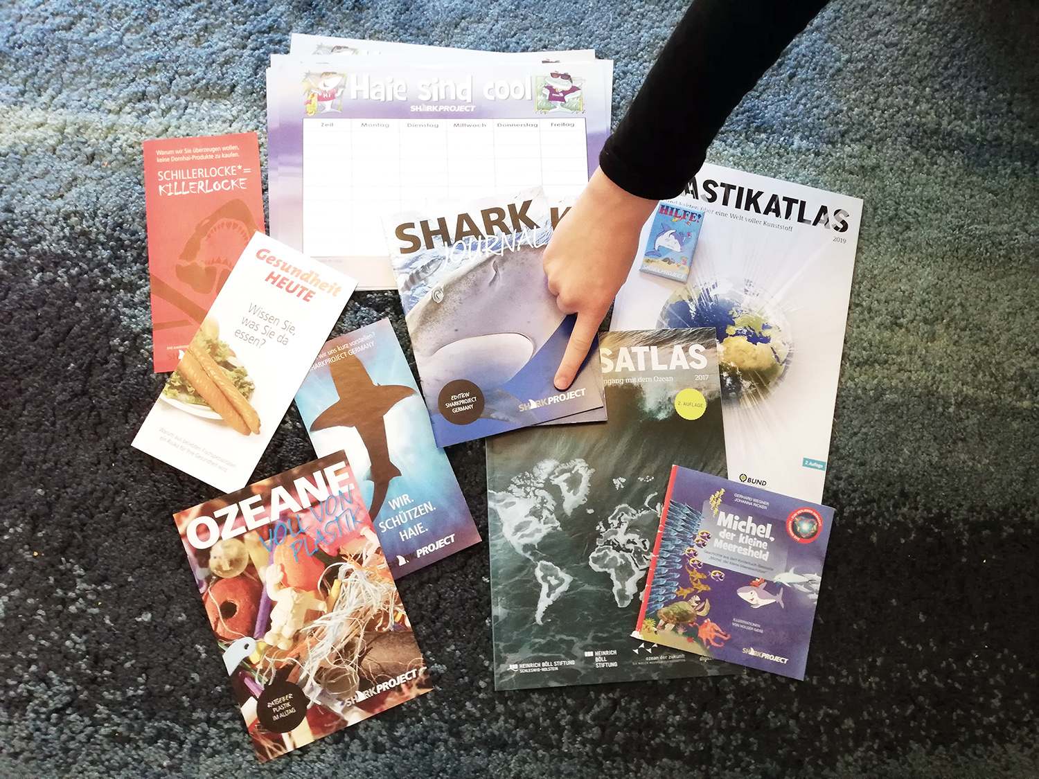 Brutal ist der Mensch, nicht der Hai