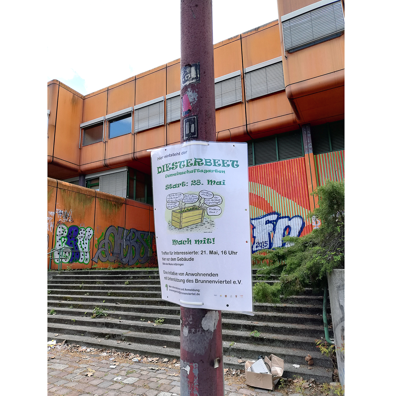 Lasst das Diesterbeet wachsen!