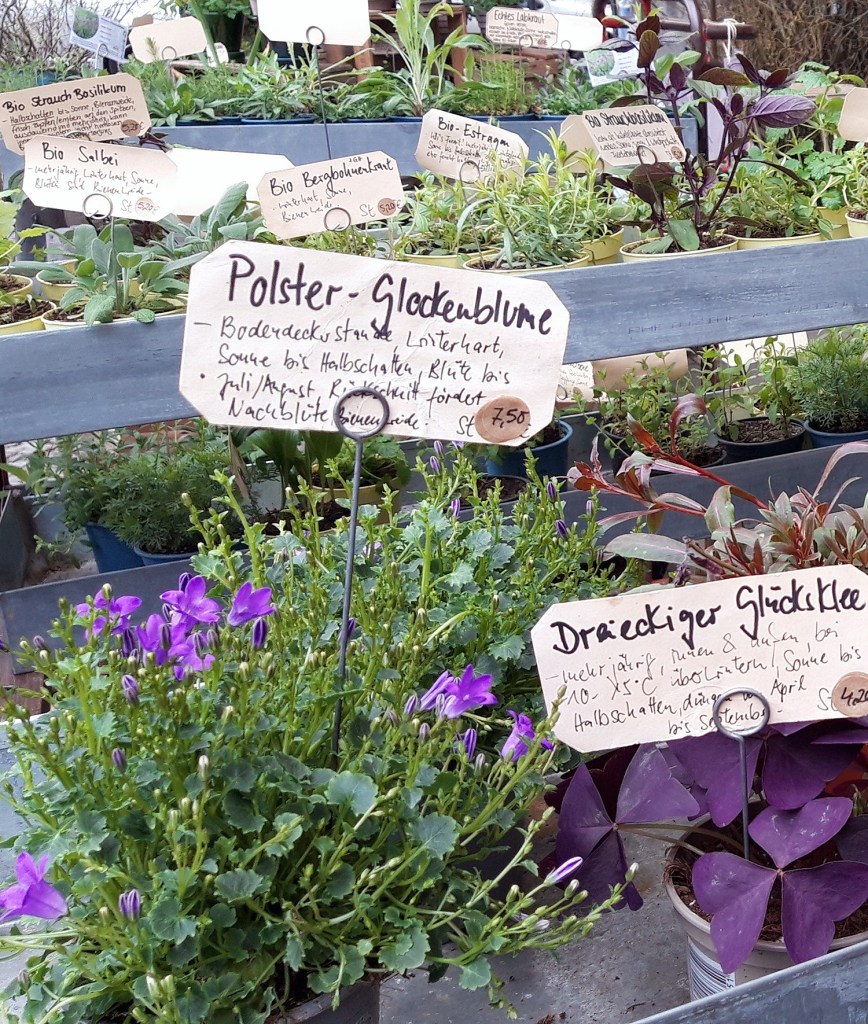 Vielfalt in der Auswahl an Stauden und Kräutern bei „Blumen Goldbeck“. Foto: Corinna Neinaß
