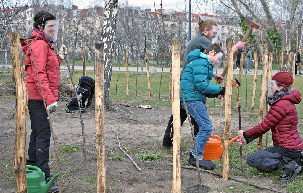 Ein Platz für Wildbienen entsteht