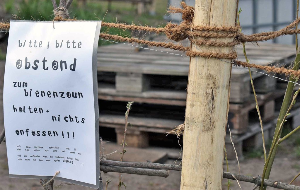 Ein Platz für Wildbienen entsteht