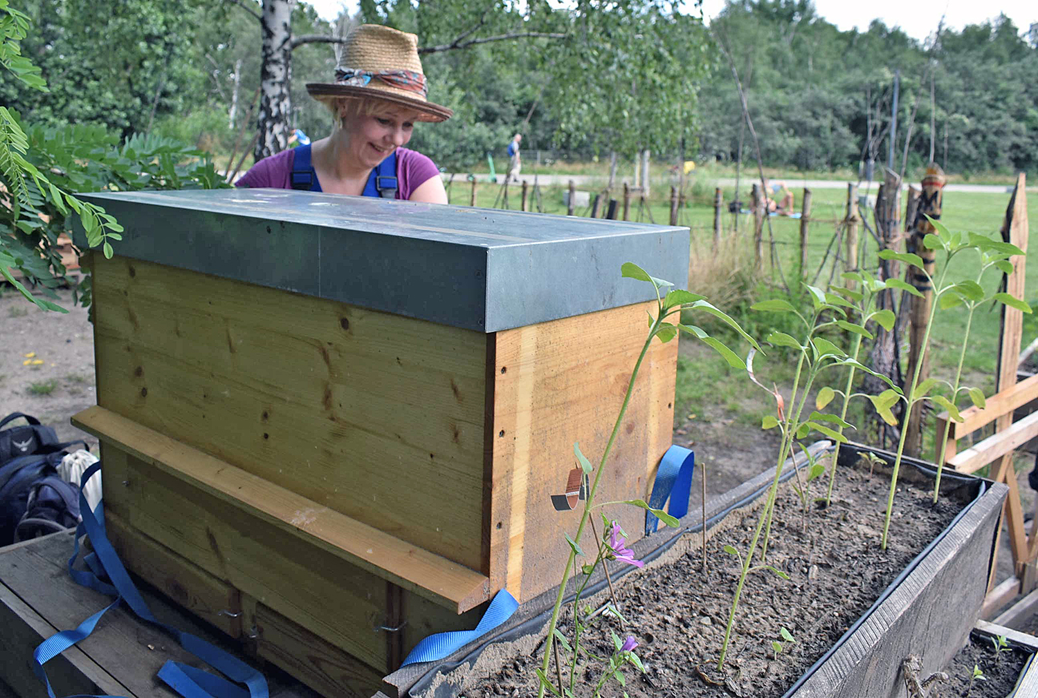 Ein neues Heim für Wildbienen