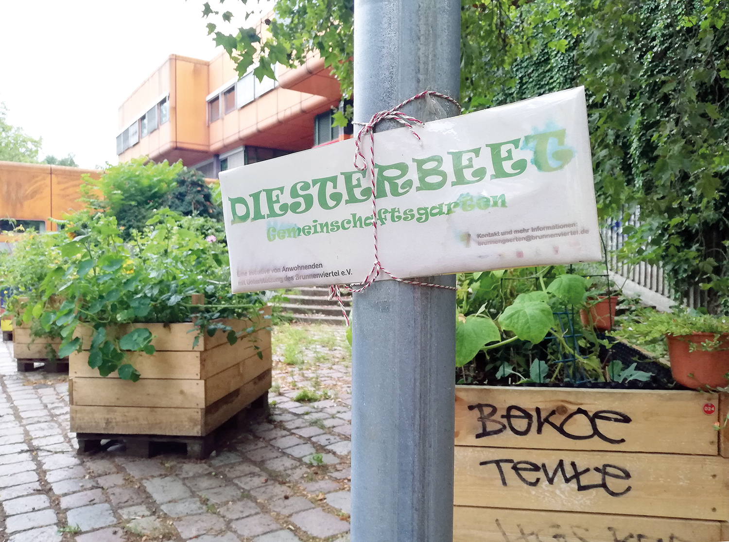 Diesterbeet: Liebevoll gepflegte Hochbeete