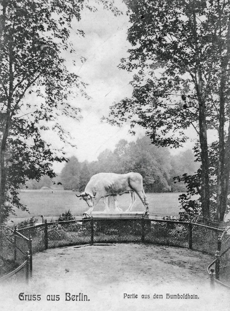 Der weiße Stier vom Humboldthain von Ernst Moritz Geyger