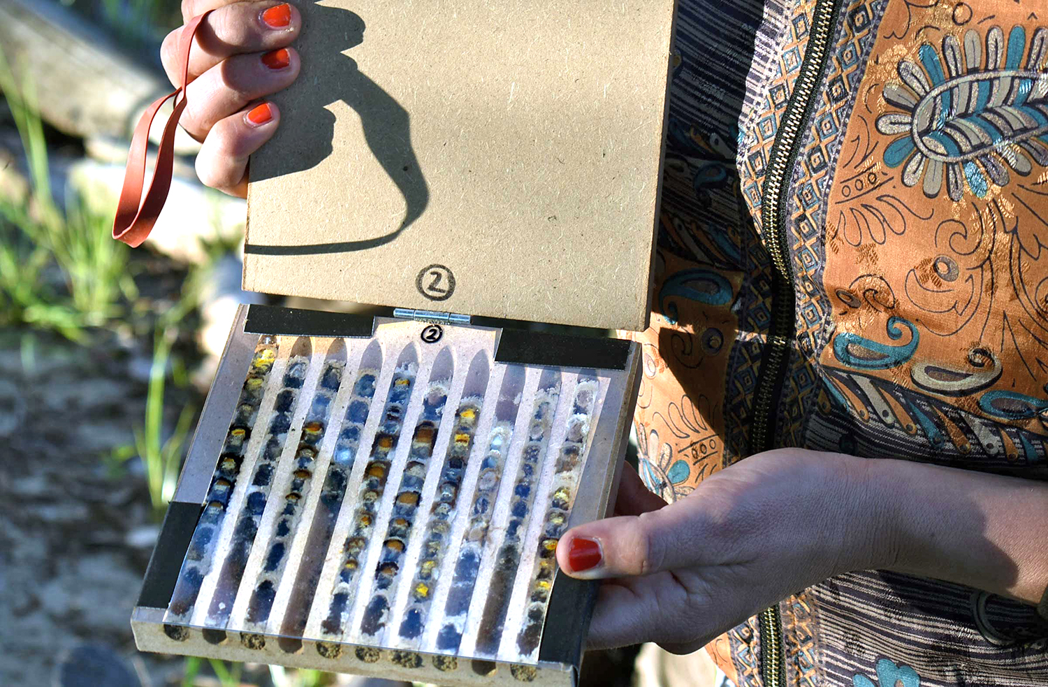 Blick in einen Nistkasten für Wildbienen. Foto: Becker