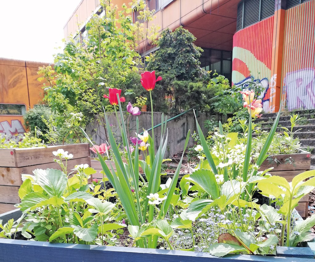 Ein Hochbeet im Diesterbeet-Garten. Foto: Hensel