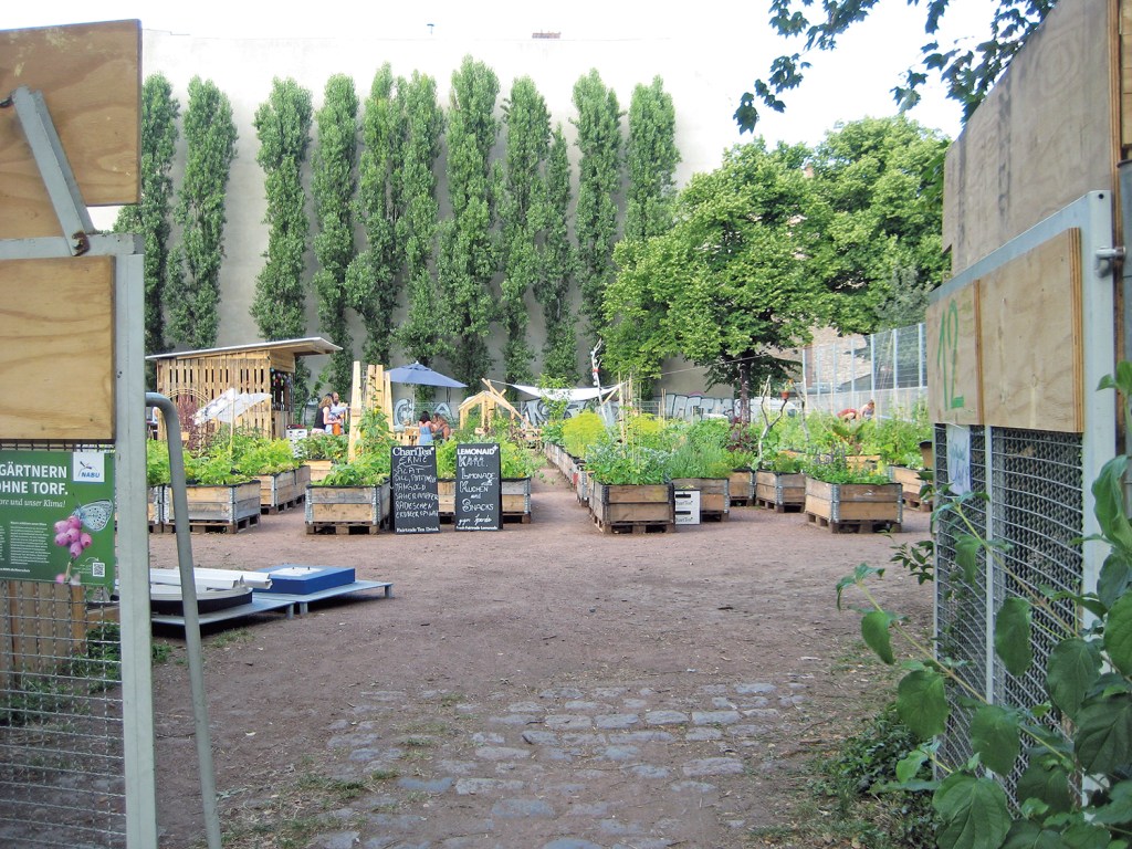 Der Gemeinschaftsgarten am alten Standort in der Ruheplatzstraße. Die Fläche stand nur zur Zwischennutzung zur Verfügung. Foto: Hensel