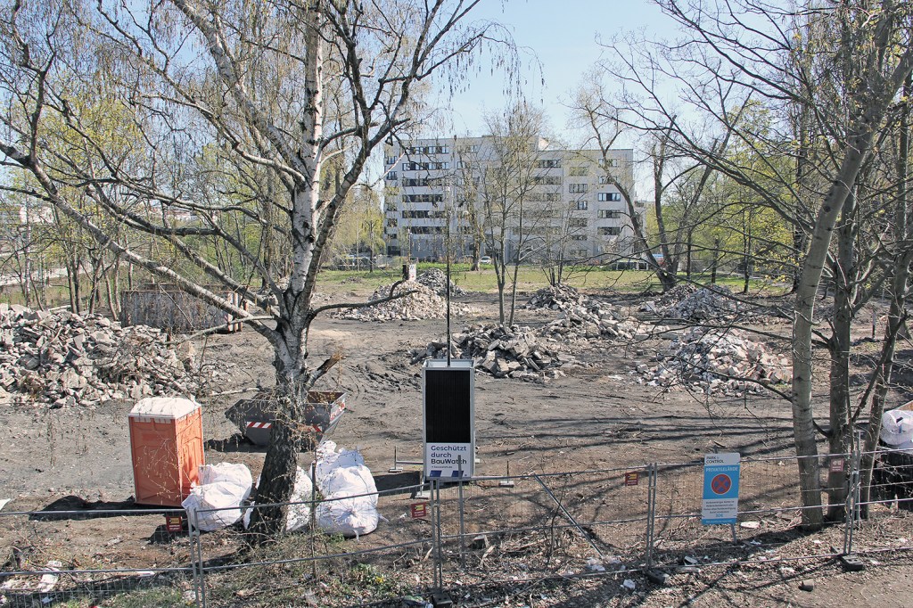 Auf der ehemaligen Pferdekoppel wurden vom Investor Aufräumarbeiten durchgeführt. Foto: Dominique Hensel