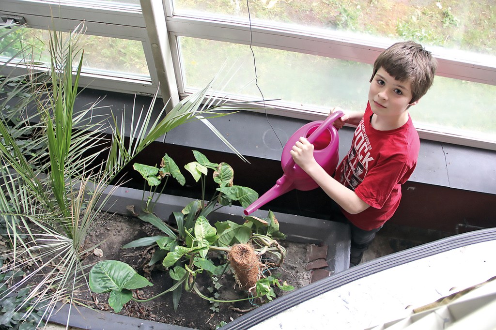 Auch Blumengießen gehörte zu Jakobs Aufgaben im Schülerpraktikum. Foto: D. Hensel