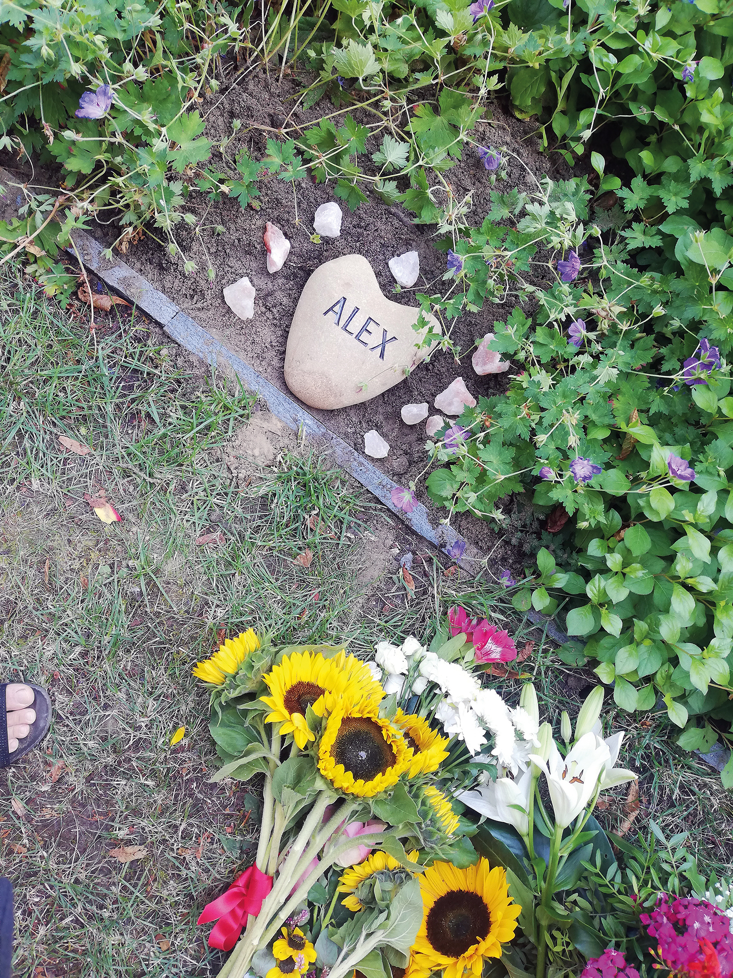 Alex Koch: Die Freude am Leben trieb ihn an