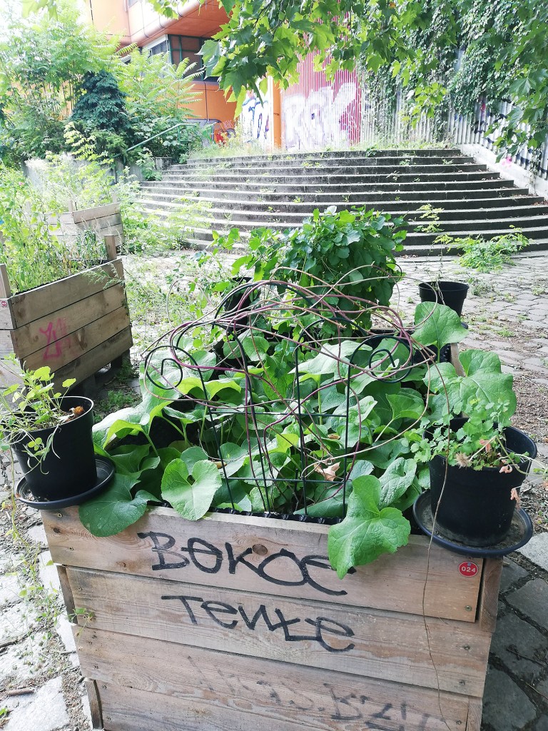 Hochbeet im Diesterbeet-Garten. Foto: Hensel