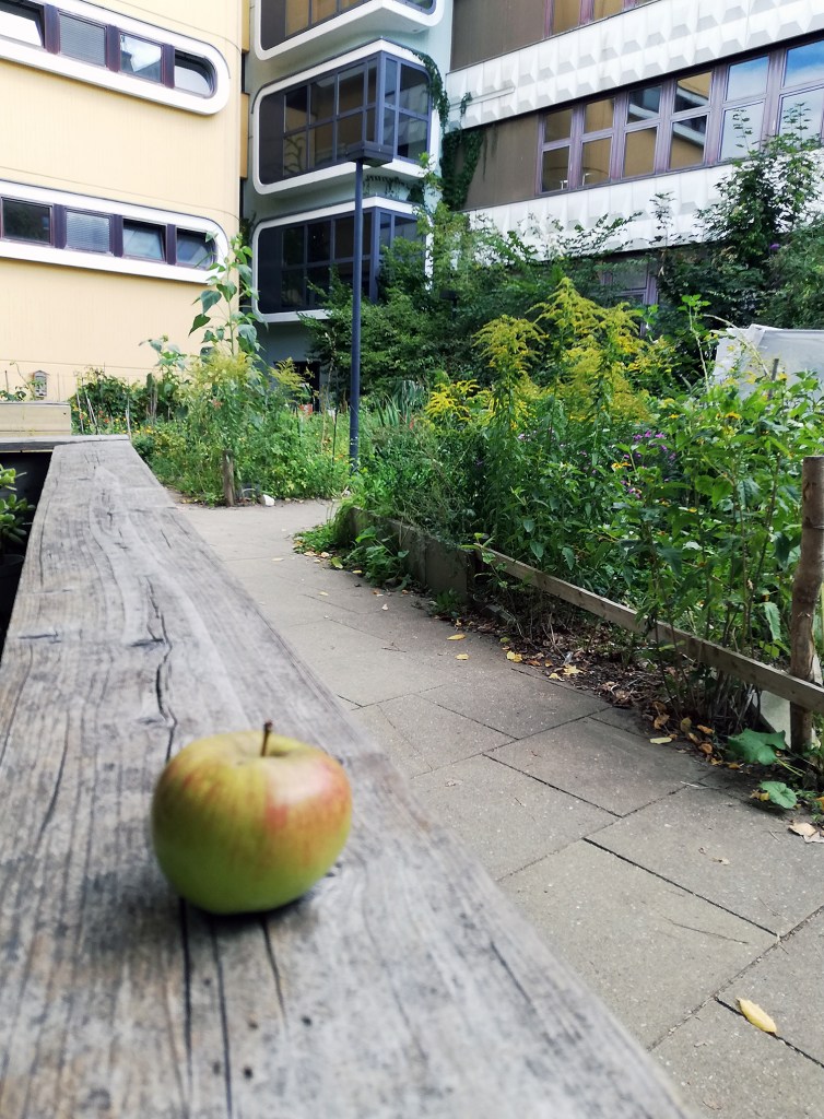Blick in den Schulgarten der Ernst-Reuter-Schule. Foto: Hensel