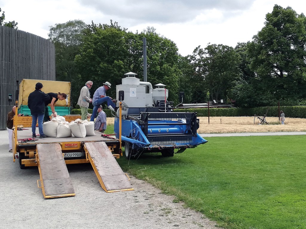 Ernte an der Kapelle der Versöhnung. Foto: Hensel