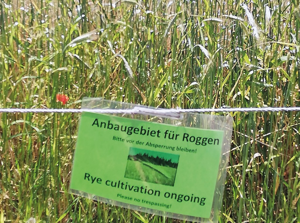 Erklärendes Schild für die Berlinbesucher:innen. Foto: Hensel