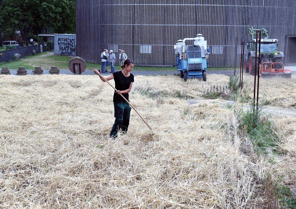 Eine Helferin harkt das Stroh zusammen. Foto: Michael Becker
