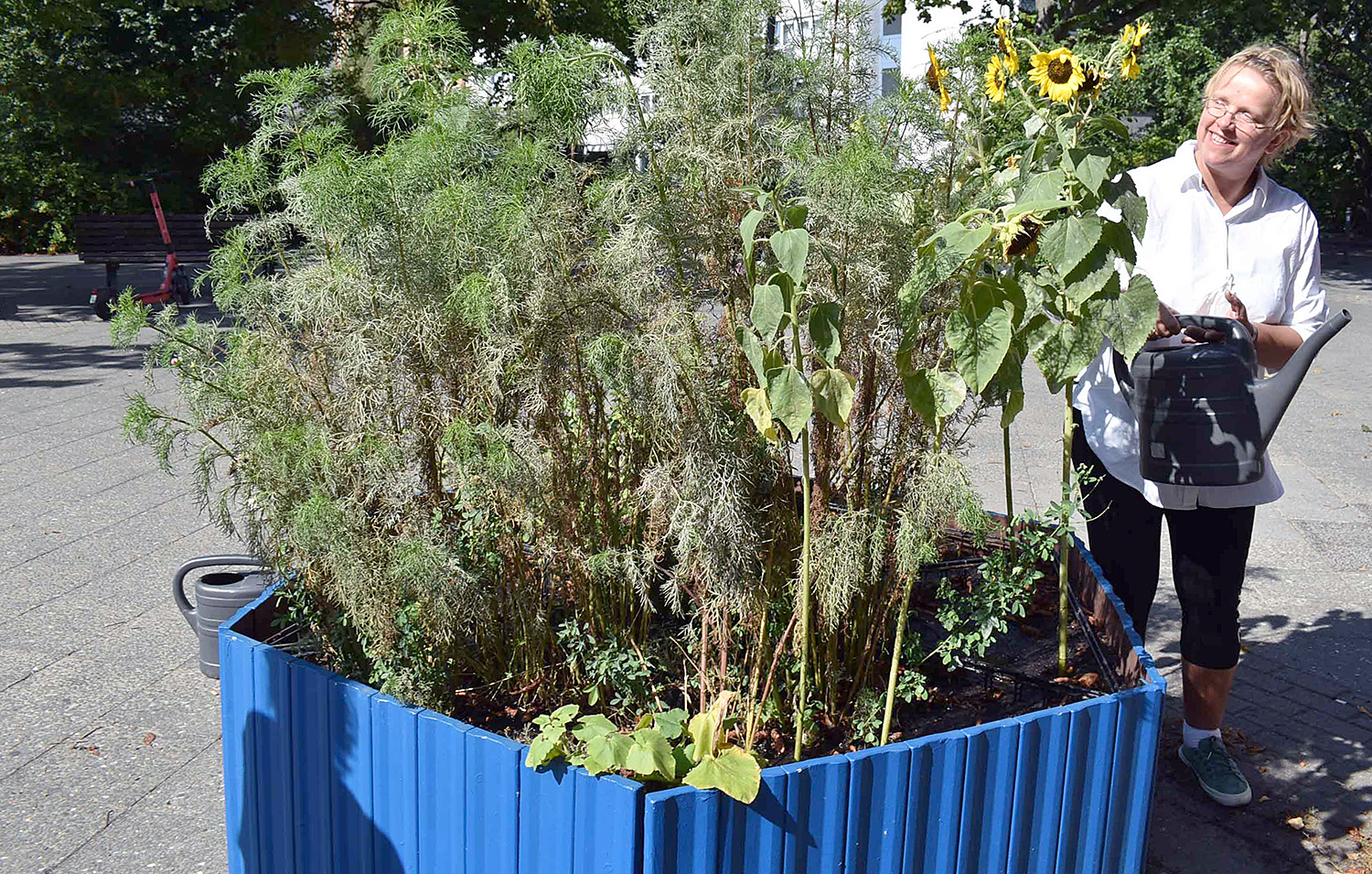 Herbstfarben plus Blau am Vinetaplatz