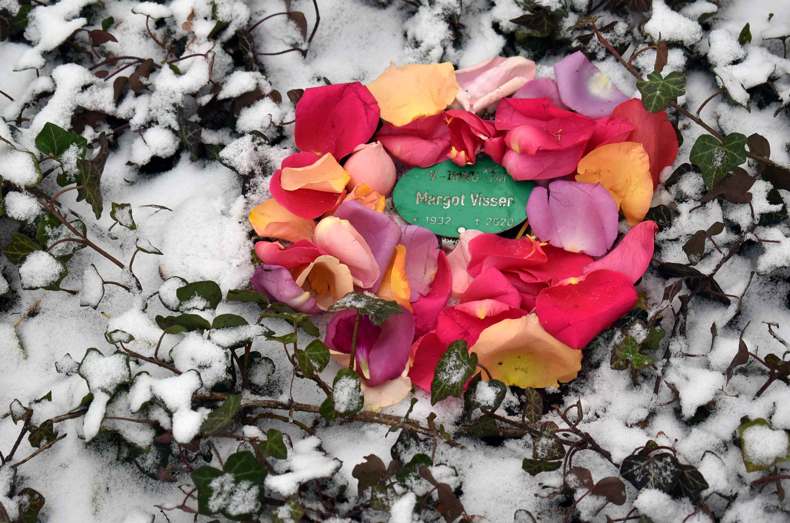 Ein Besuch der Friedhöfe in der Liesenstraße