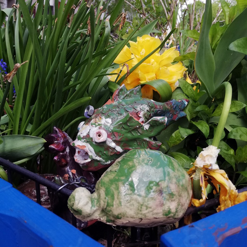 Tontiere und gelbe Blüte in einem Hochbeet am Vinetaplatz. Foto: Hensel
