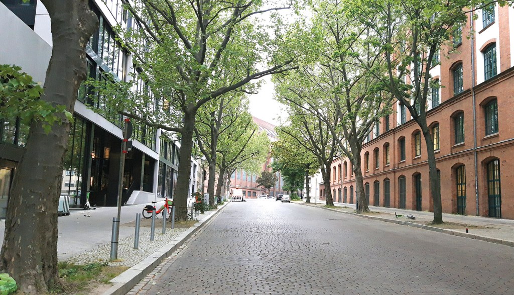 Bäume als raumbildende und leitende Elemente, hier in der Max-Urich-Straße. Foto: Corinna Neinaß
